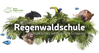 MGS Spendenlauf 2026