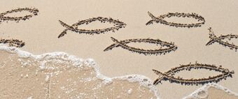 Kollekte vom 28.06.2026, Für den Evangelischen Bund